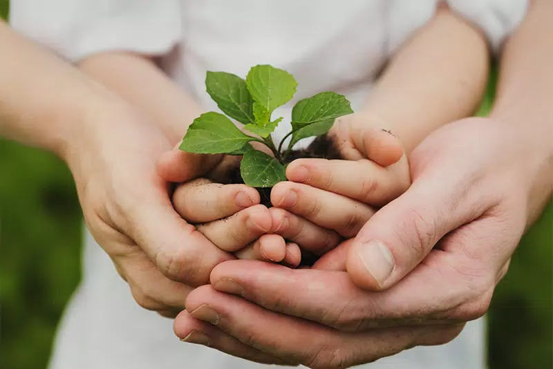 網站做的好，讓永續價值為品牌企業加分