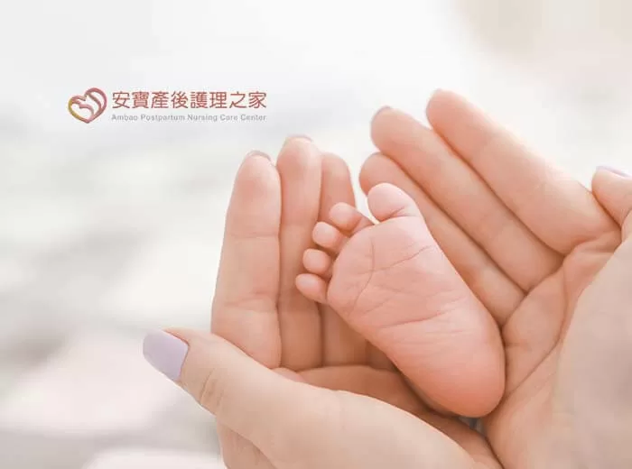 作品圖片