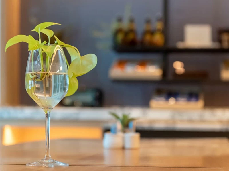 桃園喜來登酒店 桃園喜來登酒店