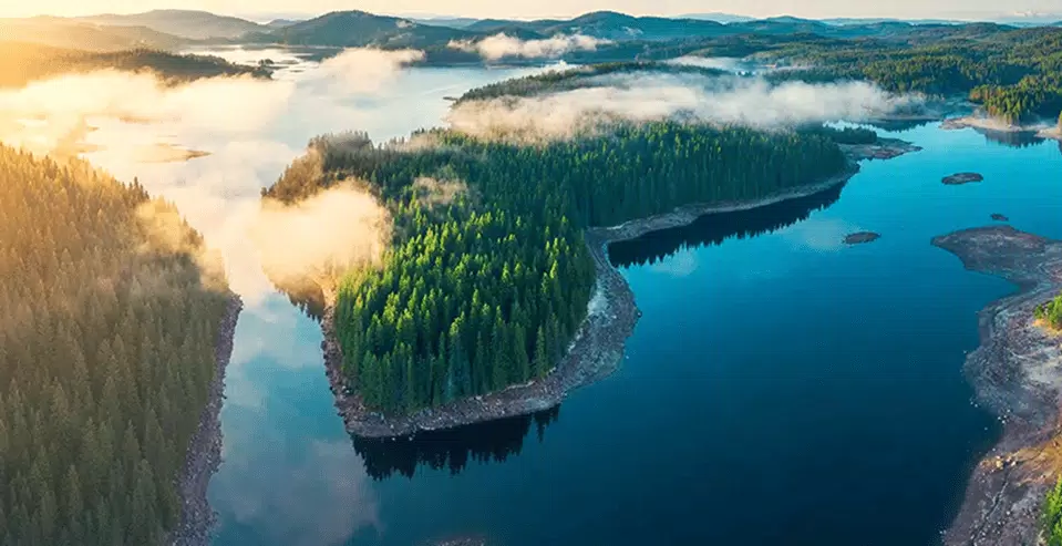 達紡企業 Tex Tile